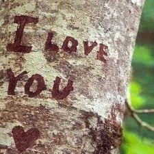 love you - Love Is Always Bestowed...... - Love Sayings