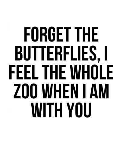 Love Quotes: Forget the butterflies, I feel the whole zoo when I am with you.