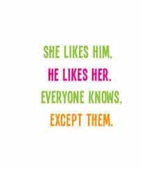 She Likes Him. He Likes Her. Everyone Knows. Except Them