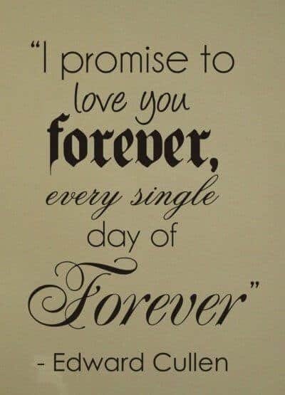 I promise to love you FOREVER every single day of Forever.