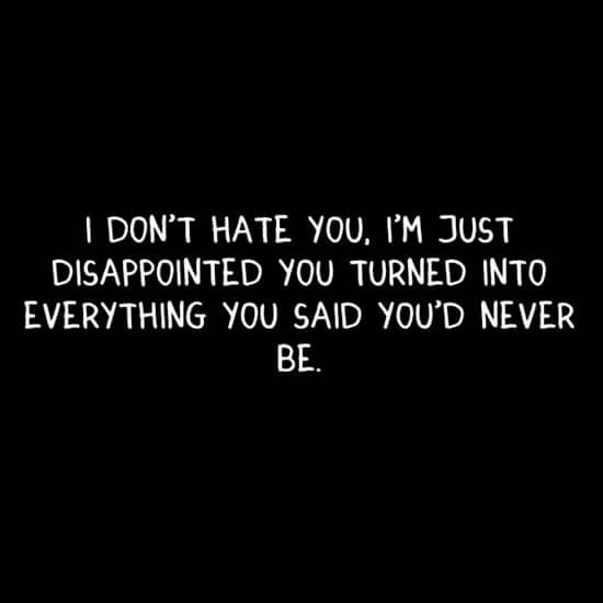 I Don't Hate You. I'M Just Disappointed You Turned Into Everything You Said You'D Never Be.